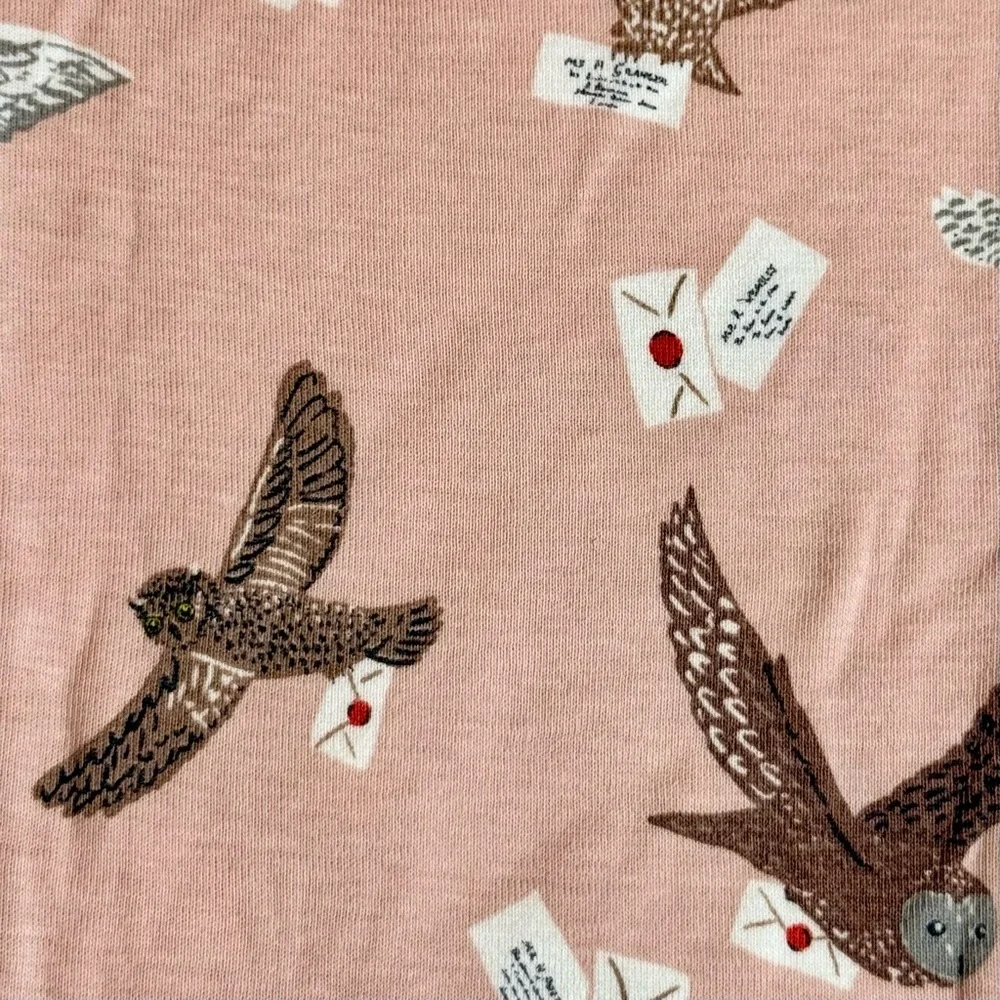 Mini Boden Harry Potter Pajama Set Girls 10 Y Hedwig Owls 2-Piece Cotton Spring
